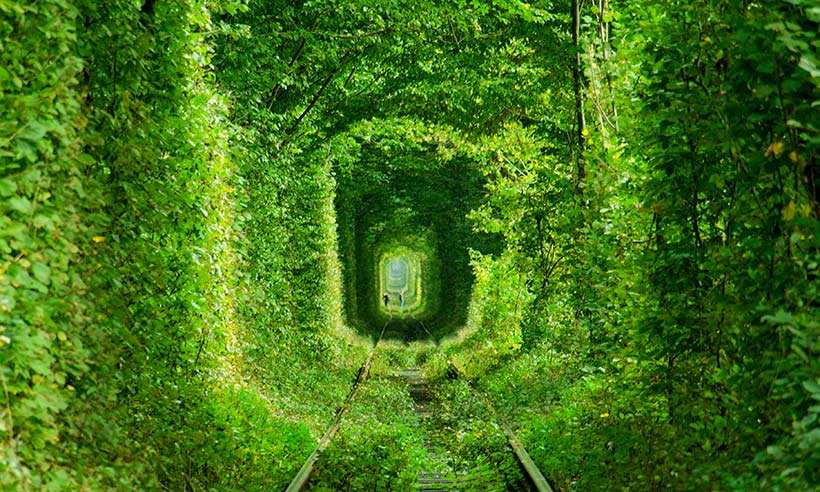 El túnel del amor: el lugar más especial que existe