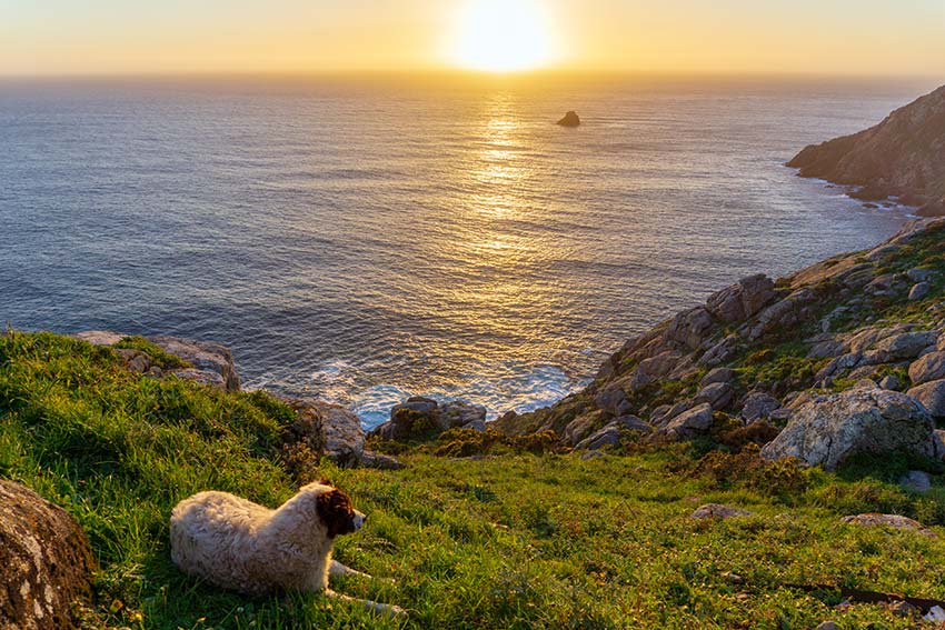 Finisterre, una puesta de sol en el fin del mundo: una aventura espiritual en la ciudad eterna